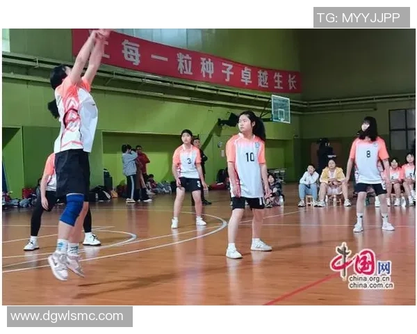 重庆排球队荣登排球配合排行榜第一名展现团队实力与默契 重庆排球队荣登排球配合排行榜第一名展现团队实力与默契