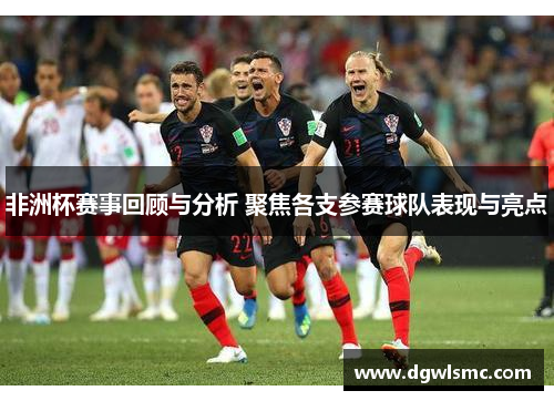 非洲杯赛事回顾与分析 聚焦各支参赛球队表现与亮点